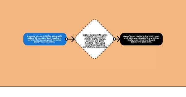 Canine Behavior and Care