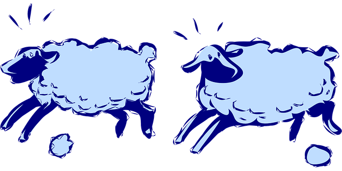 Cotton wool sheep