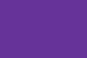Rebecca Purple Color