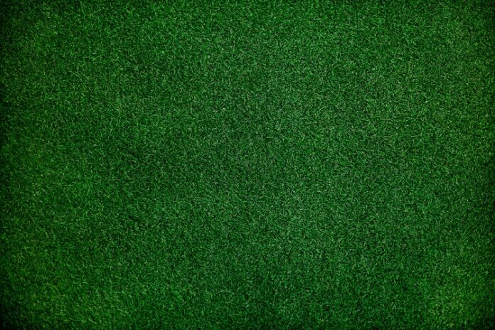 Top Green Flooring