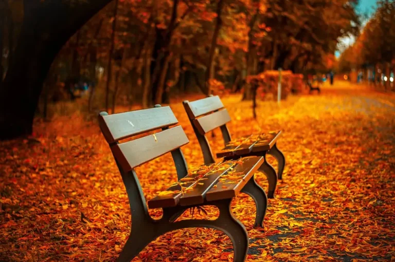 Recycled Plastic Benches