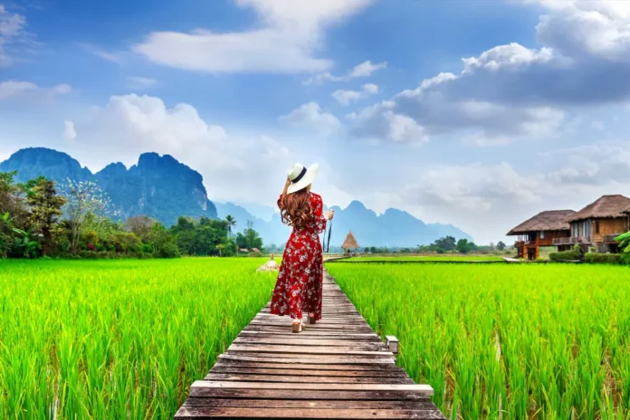 woman walking on wooden path with green rice field