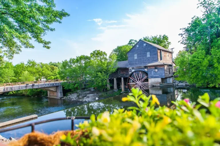 An attractive house by the river