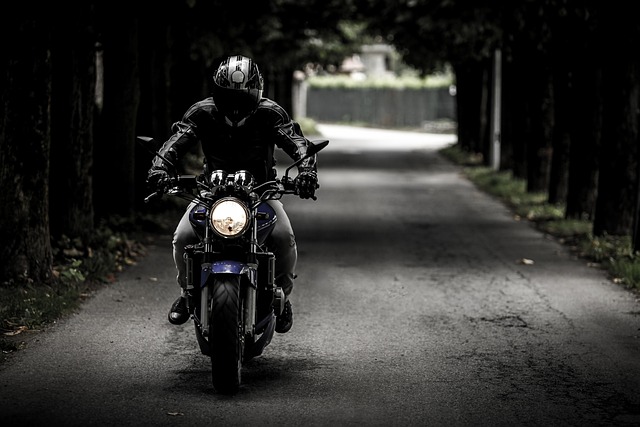 Biker on the Motorcycle