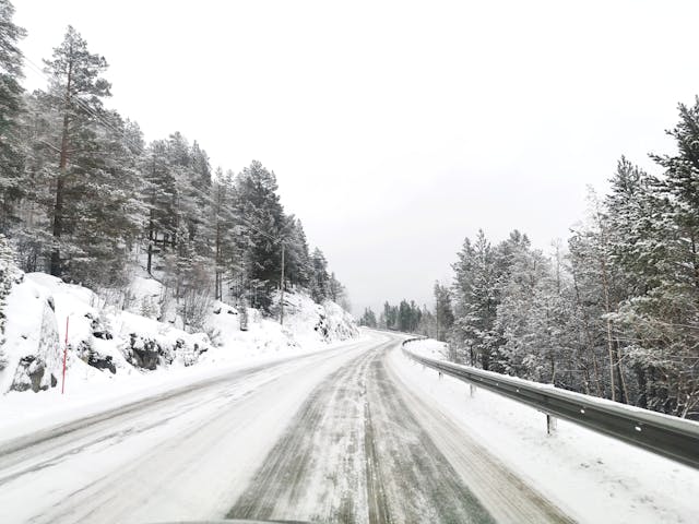 Snowy Driveway Near Conifers