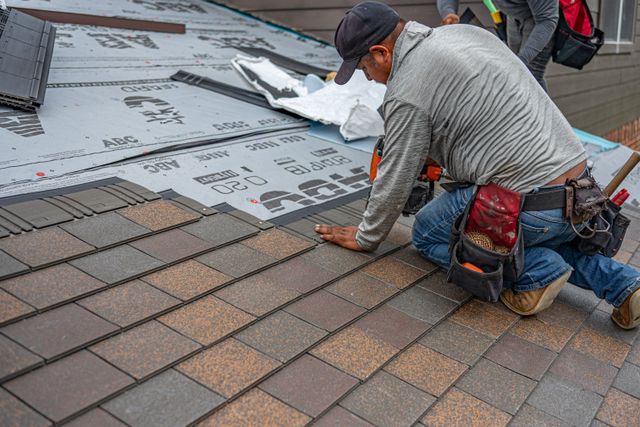 Shingles Roof