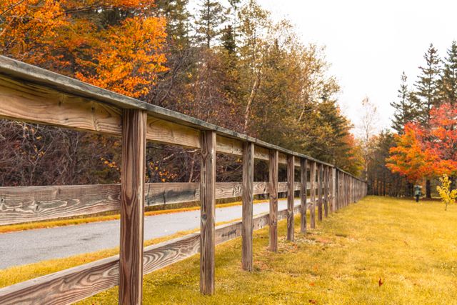Choosing the Right Fence